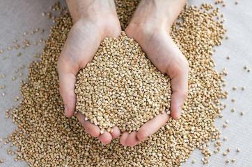 Для регулирования цен на продукты в РФ вернутся к интервенциям